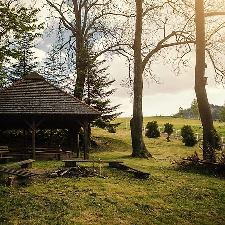 Dom Goscinny Biegun Wałbrzych Exteriér fotografie