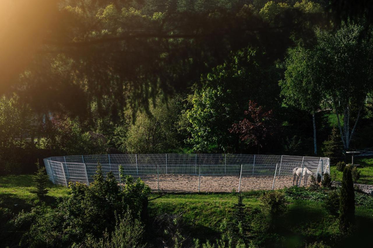 Dom Goscinny Biegun Wałbrzych Exteriér fotografie